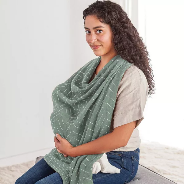 Breastfeeding Boss Itzy Ritzy – Image from target.com