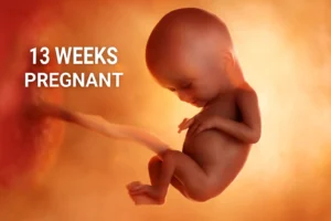 A 13-week-old fetus is gently curled in the womb, with its arms and legs flexed. The umbilical cord is attached to the placenta, surrounded by a soft orange glow. Text reads "13 Weeks Pregnant